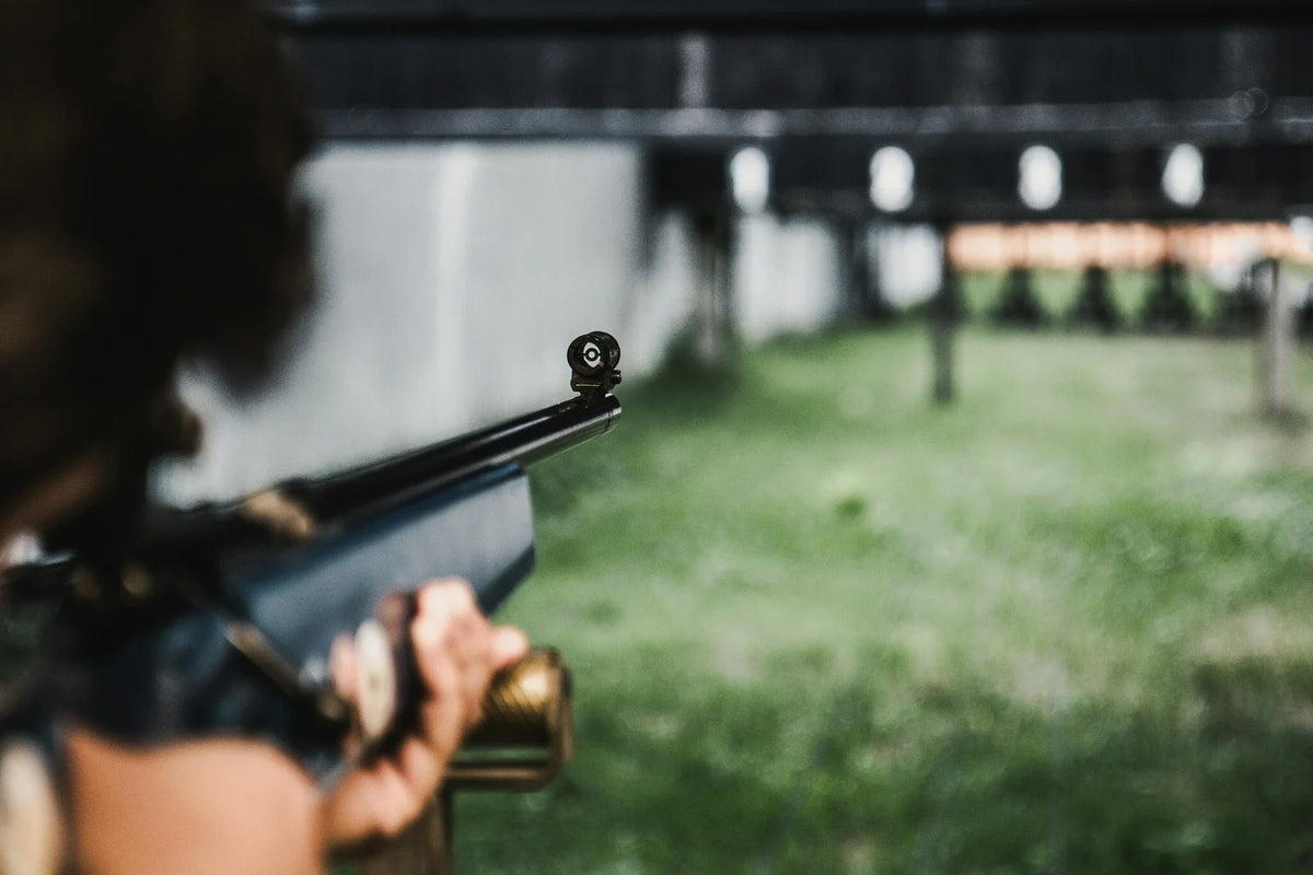 FX Airguns Canada: Complete Model Lineup Guide — Impact, DRS, and Arrow Guns