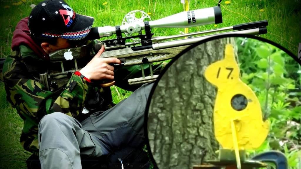 What is Field Target?