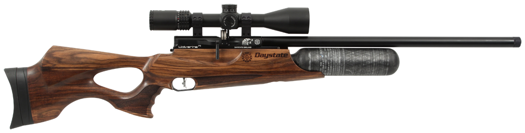 Daystate Wolverine R .22 Cal - 30 ft/lbs