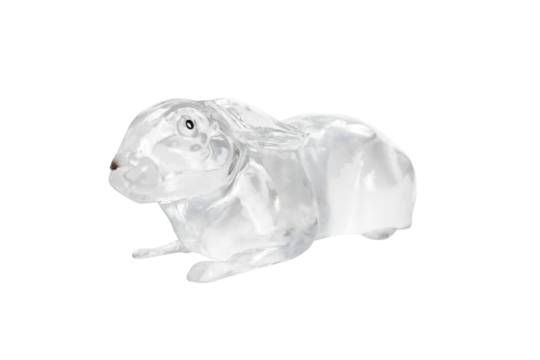10% Gelatin Rabbit