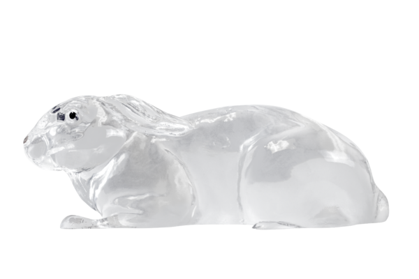 10% Gelatin Rabbit