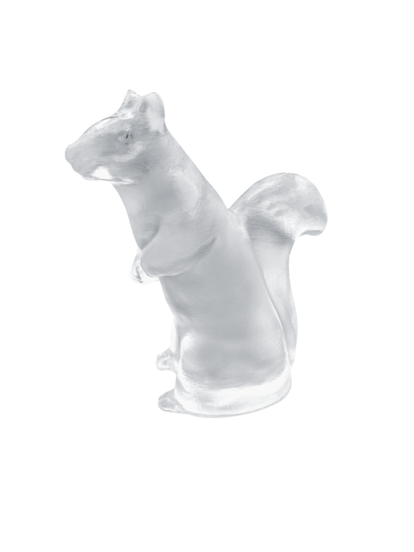 10% Gelatin Squirrel