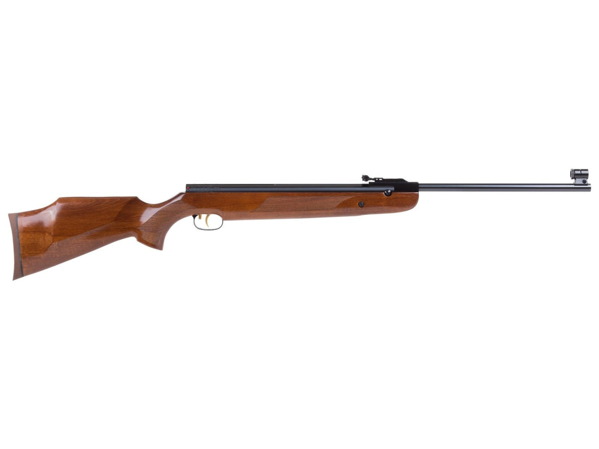 R9 .22 Cal