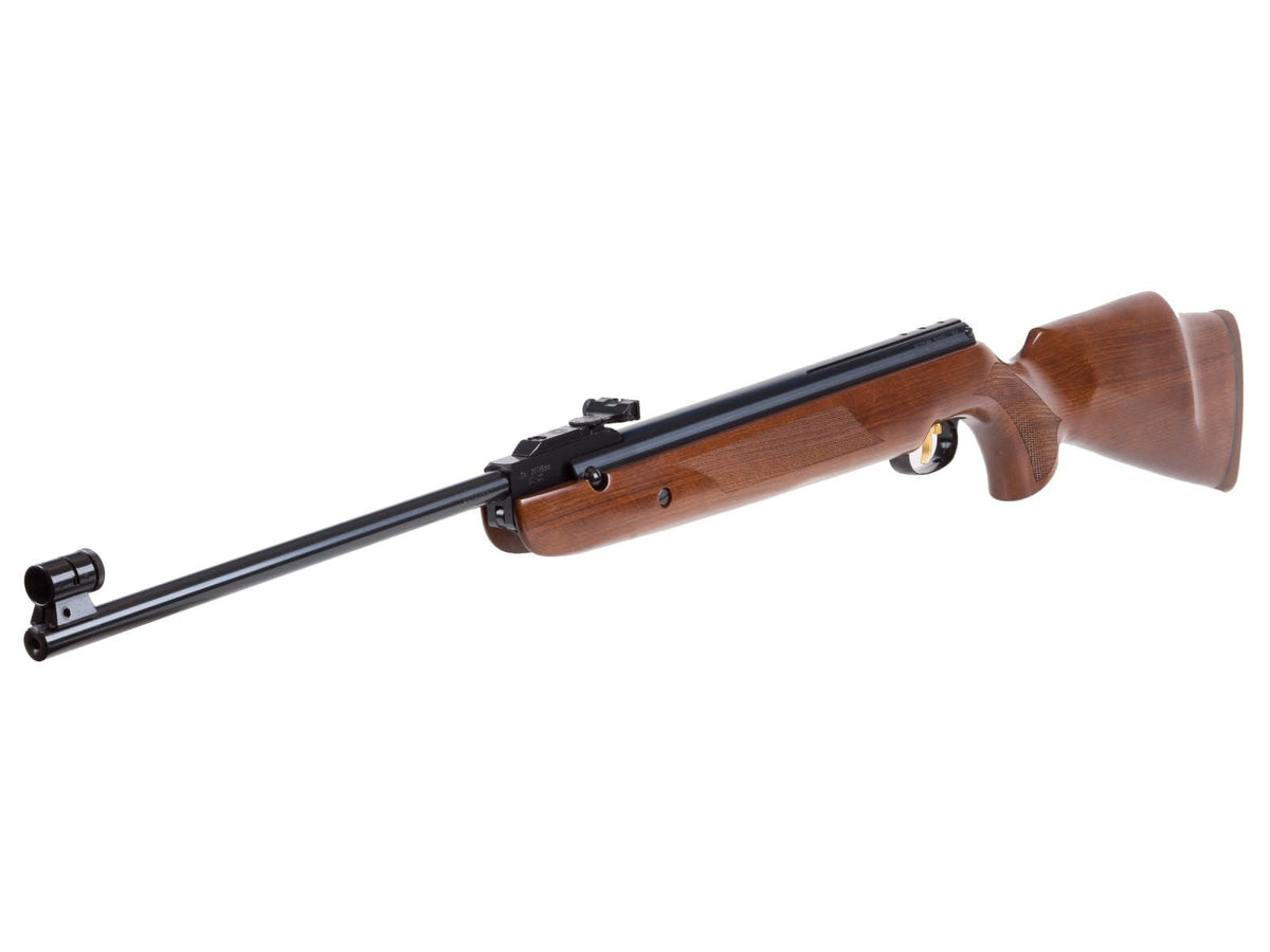 R9 .22 Cal