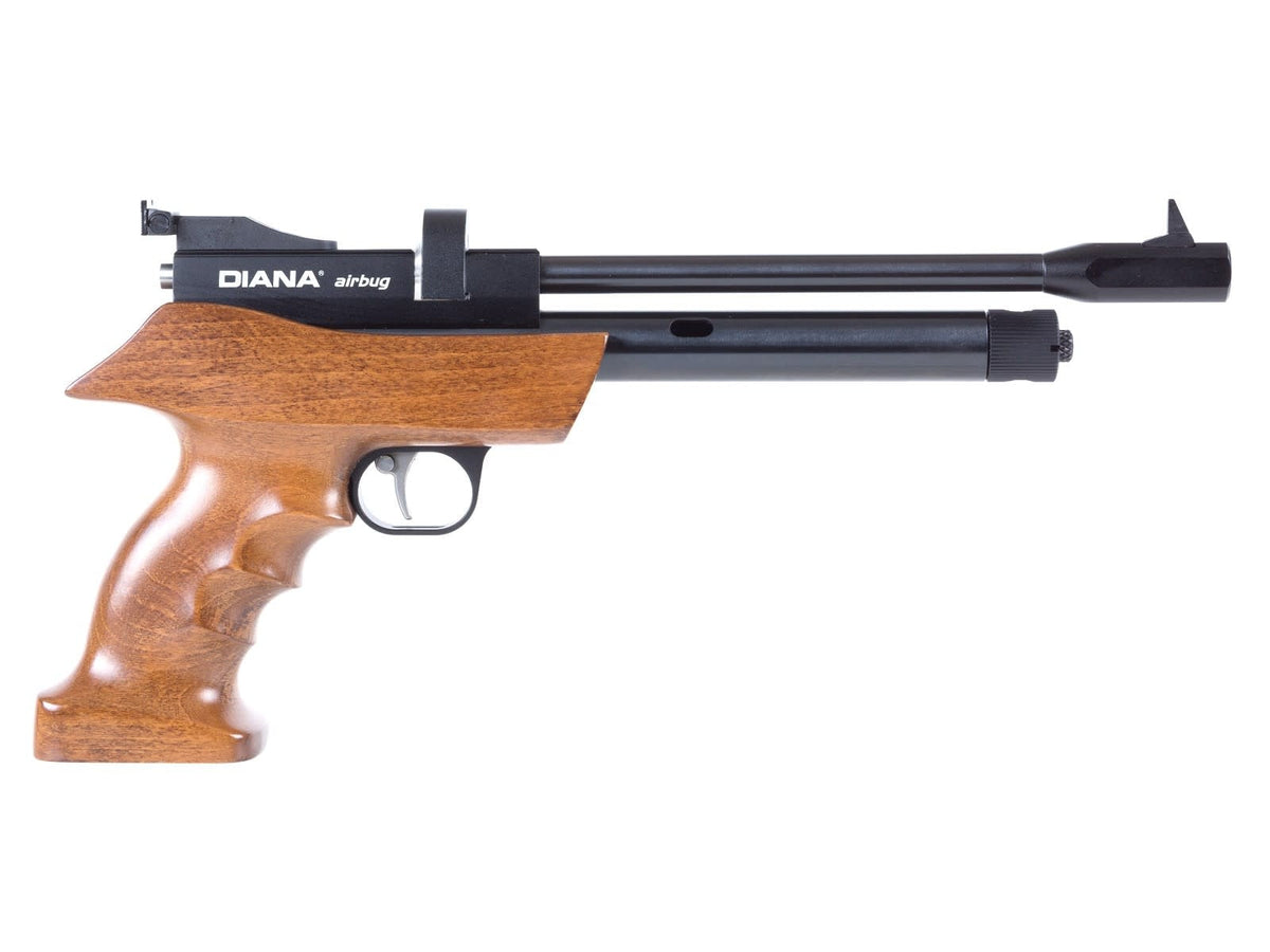 Airbug CO2 Pistol .22 Cal