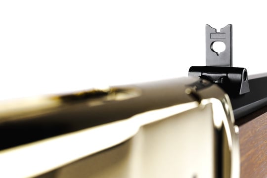 Gold 1866 .22 Cal CO2 Pellet Rifle