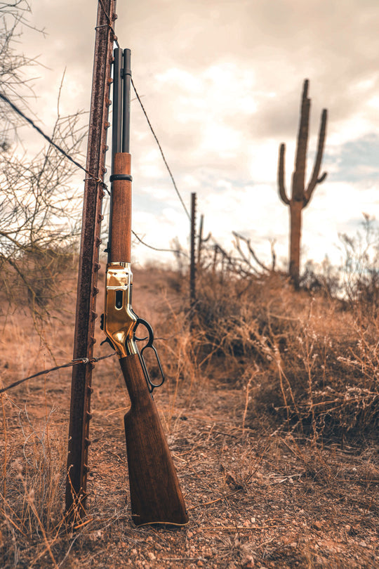 Gold 1866 .22 Cal CO2 Pellet Rifle