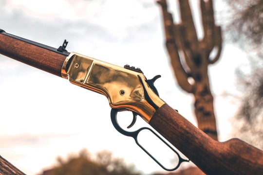 Gold 1866 .22 Cal CO2 Pellet Rifle
