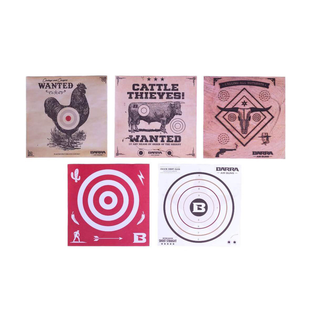 1866 Multi-Pump Silver Airgun Kit