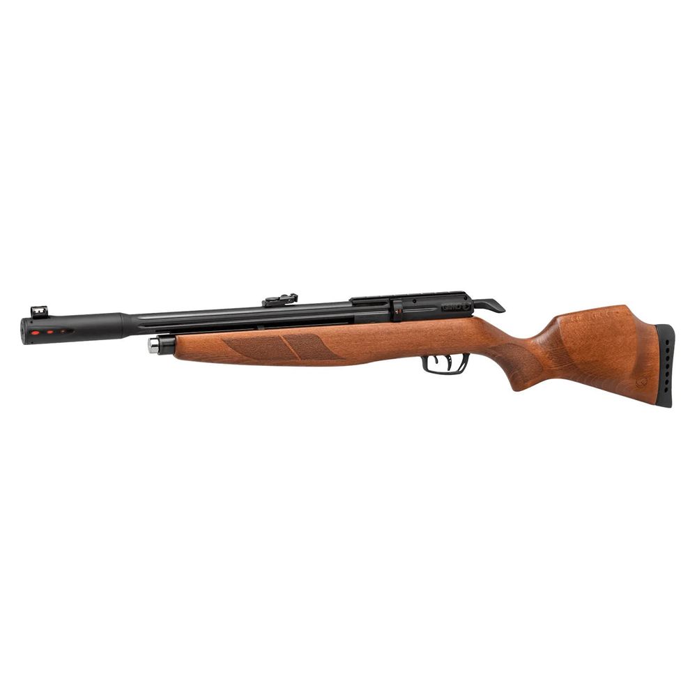 Gamo Arrow SLT .22 Cal PCP